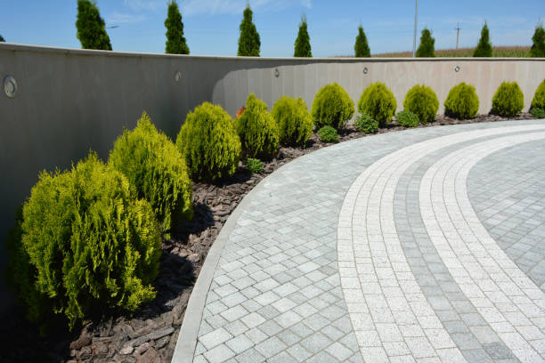 Best Paver Driveway Replacement  in Rural Hill, TN